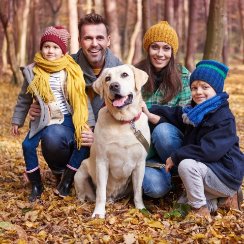 Photo Blanket