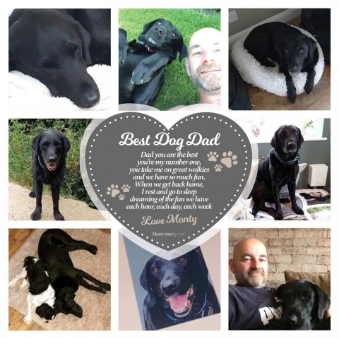 Best Dog Dad Photo Blanket