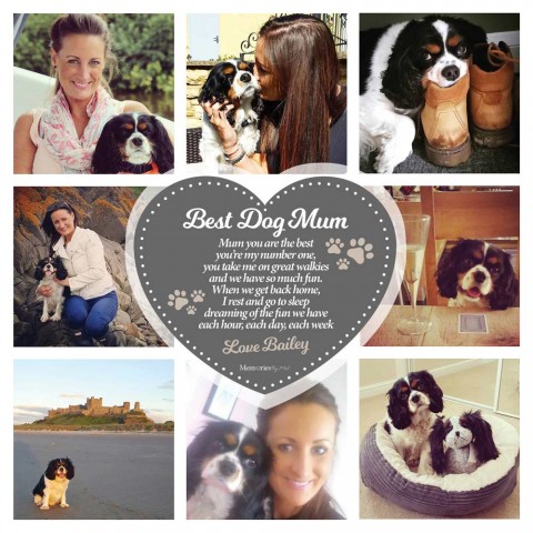 Best Dog Mum Photo Blanket