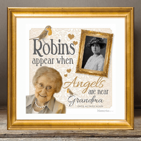 In Memory - Framed Love Robin