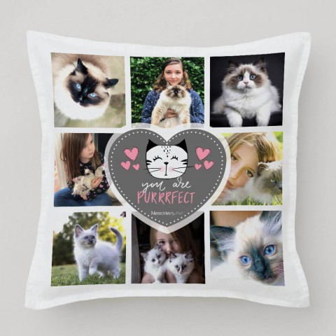 You Are Purrfect Photo Cushion